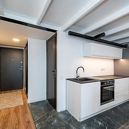 Radio City Loft - Apartment 420 Kaunas Exterior photo